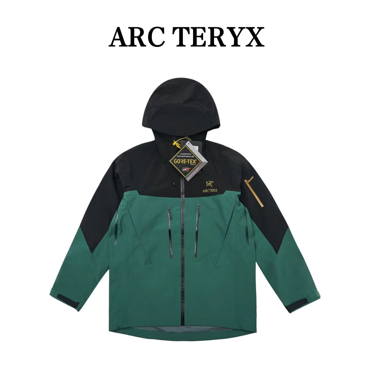Arc'teryx Alpha SV Gen 6 Waterproof Hard Shell Hooded Jacket for Skiing Hiking Outdoor Unisex Black/Eden